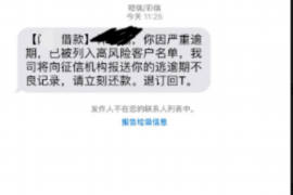 盐田专业讨债公司有哪些核心服务？